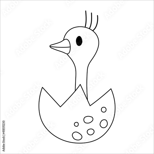 Vector black and white ostrich nestling icon. Little African bird outline illustration. Cute line drawing of just hatched animal sitting in egg shell isolated on white background. .