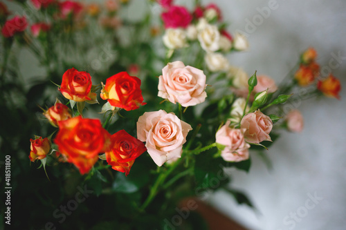 multicolored small spray roses on dark background