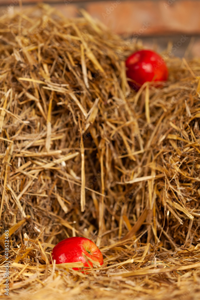 Two red juicy apples lie on the hay at different heights Two red juicy apples lie on the hay at different heights