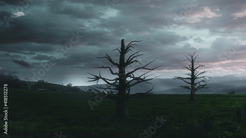 Autumn landscape with a dead tree/Beautiful landscape with a lonely tree in a field © Dark Illusion