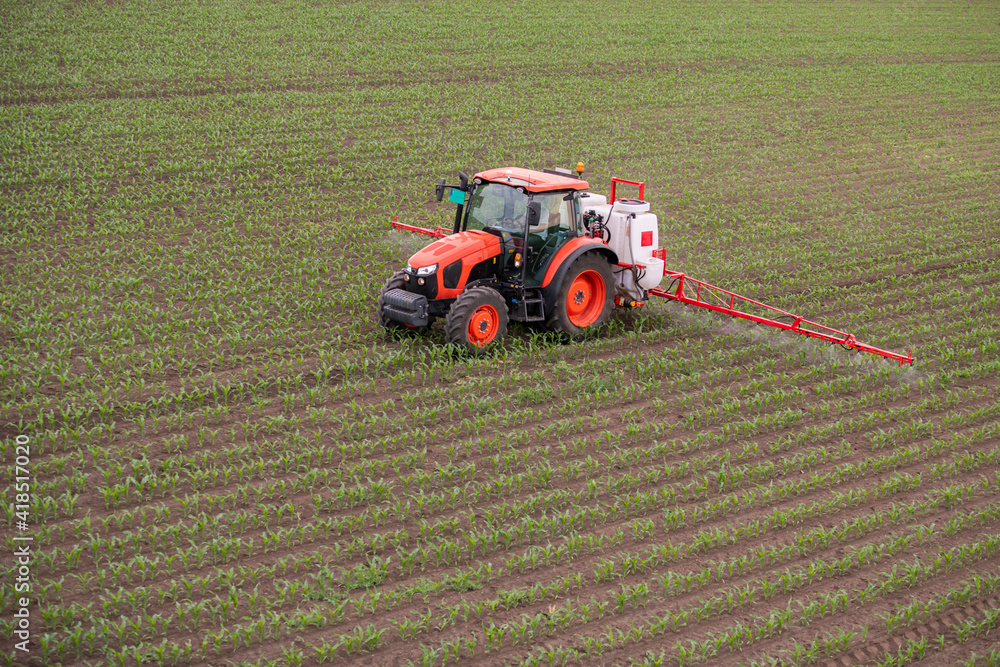 Fototapeta premium Tractor spraying pesticides at corn fields