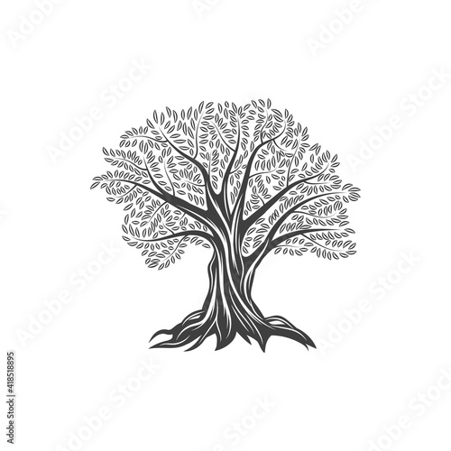 Olive tree icon with leaves and branches, olive oil and food vector flat line label. Olive tree sign of Mediterranean cuisine and extra virgin olive oil product package
