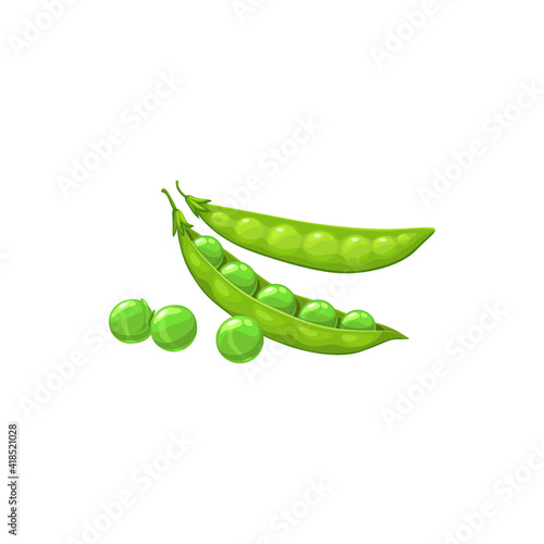 Green pea pods and seeds vector natural vegetable, isolated healthy food. Cartoon beans veggies, organic raw plant, design element, sign on white background