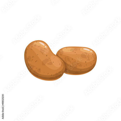 Brown sweet potatoes isolated vegetable food. Vector unpeeled large bulbous, brown old or new, whole raw uncooked veggie. Farming and agriculture product, vegetable root, farm Solanum tuberosum