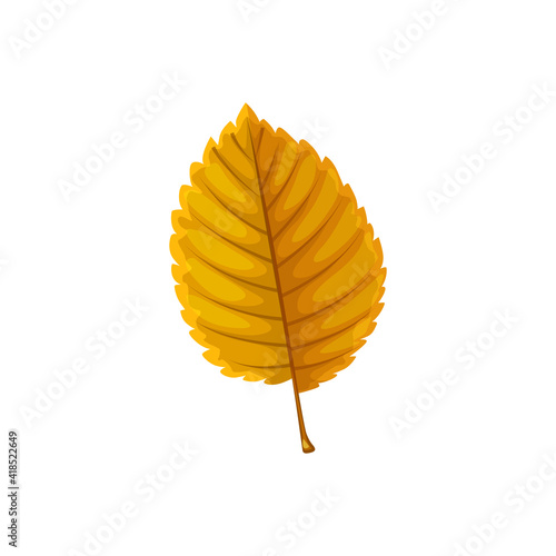 Autumn elm or beech leaf vector icon, cartoon foliage, fallen ulmus tree leaf of brown color, design element isolated natural object on white background, sign