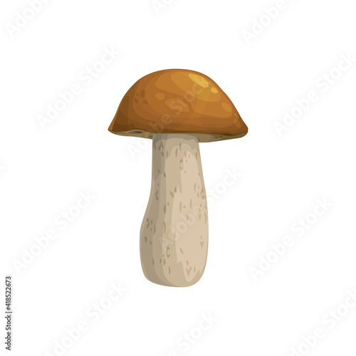 Mushroom boletus or cep vector icon, cartoon vegetable or forest plant with brown cap and mottled stipe. Autumn season symbol, botanical object isolated on white background