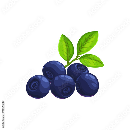 Bilberry fruit with green leaves isolated icon of fresh forest blueberry berries. Vector food and fruit drinks design, huckleberry or whortleberry blue berries with leaf, organic natural food dessert