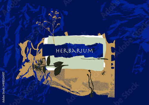 Herbarium. Variants of different textures and plants. Suitable for interior decoration, postcards, invitations. Stylish vector illustration.