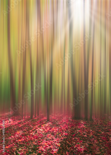 Digitally modified photo of sunrays through forest in autumn