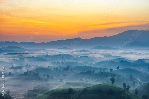 Sunrise in Tea hills in Long Coc highland, Phu Tho province in Vietnam © VietDung