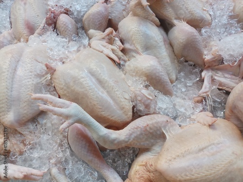 Chicken on ice