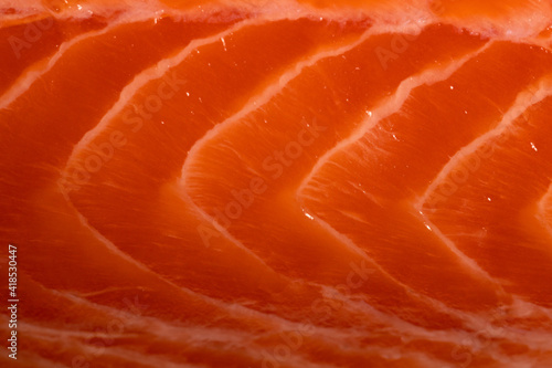 closeup of a salmon filet with skin used as a condiment for healthy, low-carb diet with less fat