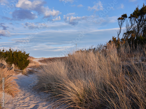 Fototapeta Naklejka Na Ścianę i Meble -  New Jersey's Island Beach State Park offers multiple parking areas and beach access on designated paths across the protected and endangered sand dunes