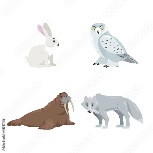 Arctic animals set. Polar hare  snow owl  walrus and polar wolf. Cartoon flat design. Vector illustrations isolated on white background.