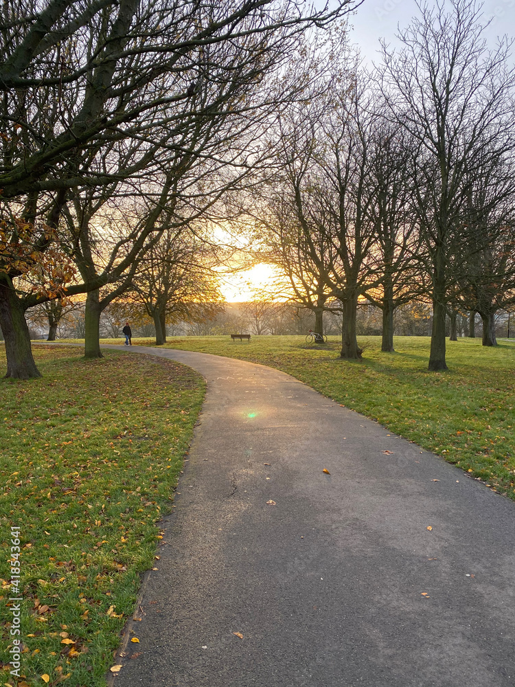 path in the park