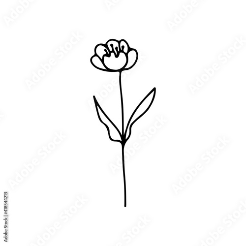 Hand drawn and sketch lotus flower, isolate on white background. A flower similar to a water lily on a stem with leaves. Botanical doodle sketch
