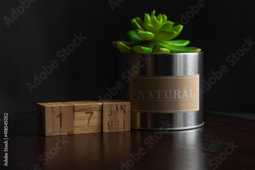 Jan 17st. Image of Jan 17 wooden cube calendar and an artificial plant on a brown wooden table reflection and black background. with empty space for text photo