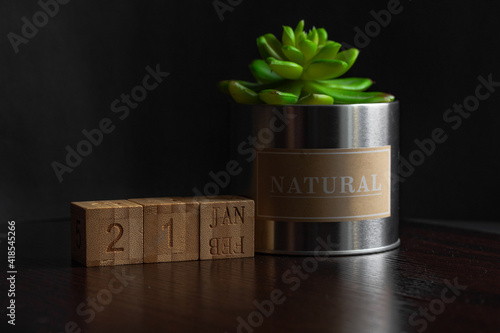 Jan 21st. Image of Jan 21 wooden cube calendar and an artificial plant on a brown wooden table reflection and black background. with empty space for text photo