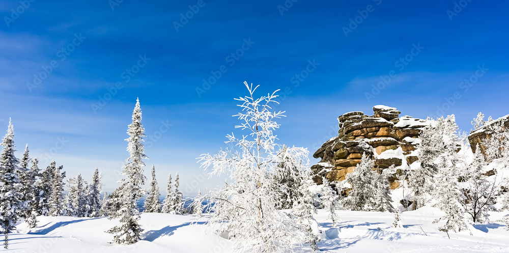 Obraz premium rocky background trees in the snow