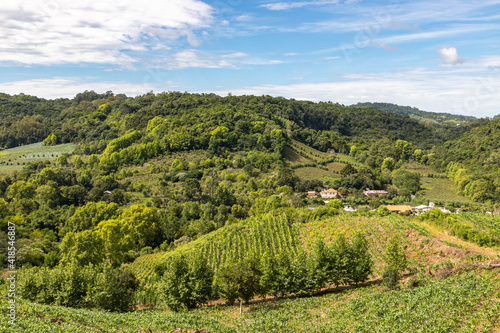 Vineyards, houses and forest in valley