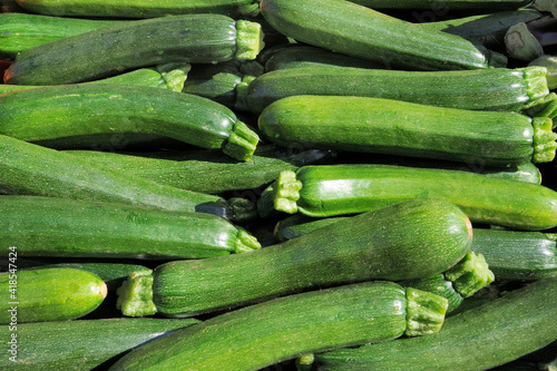 Organic Zucchini, Vegetables at Farmer's Market