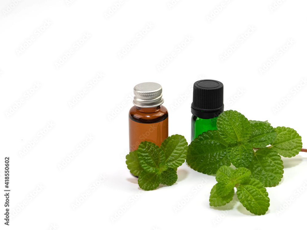 Mint essential oil in bottle and green leaves, isolated on white background. Mint essential oil in bottle and green leaves, isolated on white background.