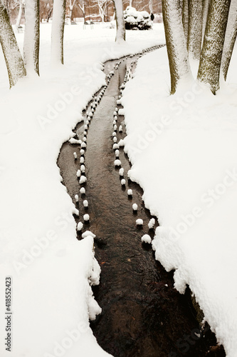 Fototapeta Naklejka Na Ścianę i Meble -  zima