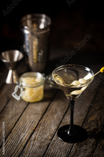 Gibson alcohol cocktail with martini and onions in martini glass. Decorated cocktail on dark background