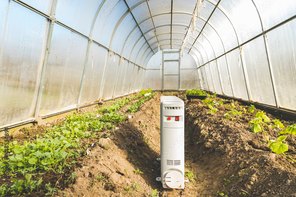 heater in a greenhouse, a concept of maintaining the required temperature  in a greenhouse by means of additional heating with an electric oil heater  Stock Photo | Adobe Stock