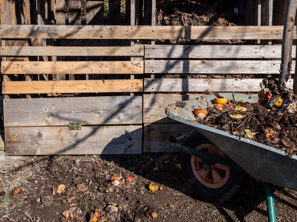 Biomüll in der Schubkarre für den Komposter im Garten