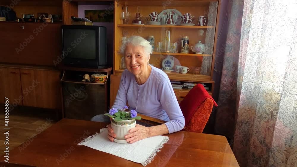Old lonely happy woman sitting near the window in his house with flowers Old lonely happy woman sitting near the window in his house with flowers