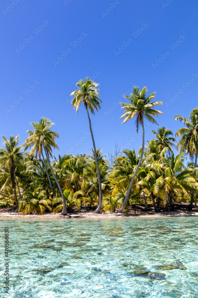 Obraz premium Plage paradisiaque à Taha'a, Polynésie française