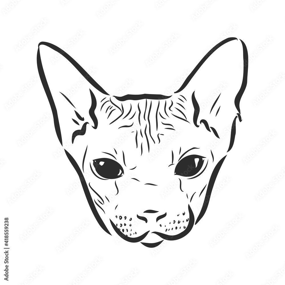 Vector illustration of a sphynx cat with a liner isolated on a white background. For printing on clothes, paper, logo, icon Vector illustration of a sphynx cat with a liner isolated on a white background. For printing on clothes, paper, logo, icon
