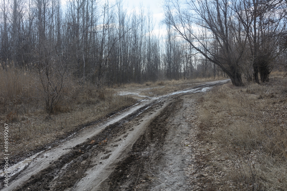 Dirt road in forest early spring. Tracks in rut from stuck car