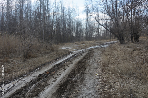 Dirt road in forest early spring. Tracks in rut from stuck car © NataliaSavilova