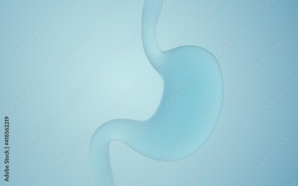 Human Internal Stomach Anatomy, 3d rendering. Human Internal Stomach Anatomy, 3d rendering.