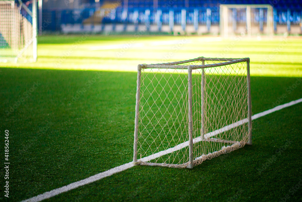 Fototapeta premium football goal with a net on the artificial turf of the indoor stadium
