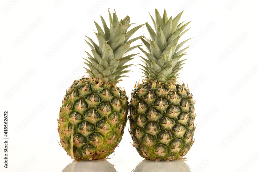 Two ripe organic pineapples, close-up, isolated on white. Two ripe organic pineapples, close-up, isolated on white.