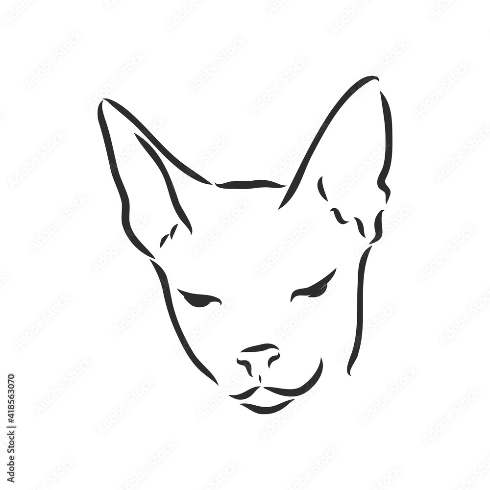 Vector illustration of a sphynx cat with a liner isolated on a white background. For printing on clothes, paper, logo, icon Vector illustration of a sphynx cat with a liner isolated on a white background. For printing on clothes, paper, logo, icon