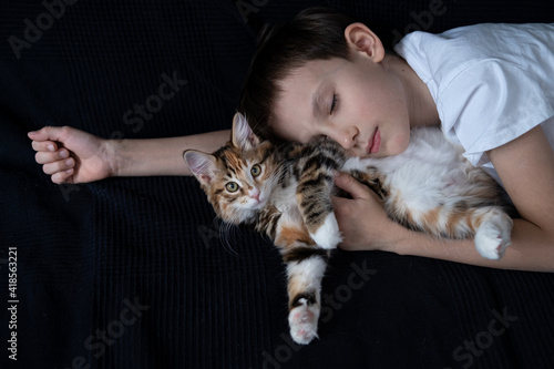 Slika na platnu boy sleeping with small straight kurilian bobtail kitten