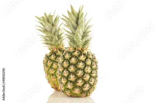 Two ripe organic pineapples, close-up, isolated on white.