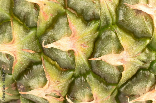 Piece of juicy organic pineapple, close-up.