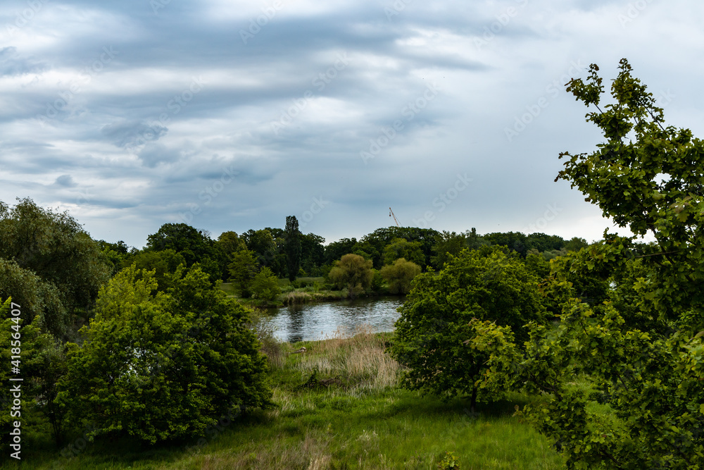 Wide Odra river between big trees and bushes Wide Odra river between big trees and bushes