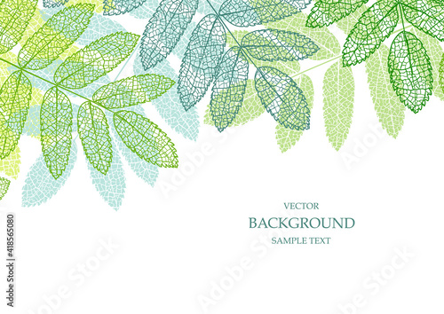Floral vector template with leaves. Plant print for holiday poster, greeting card, cover, banner, invitation. Natural trendy design. Textured background. Botanical art.