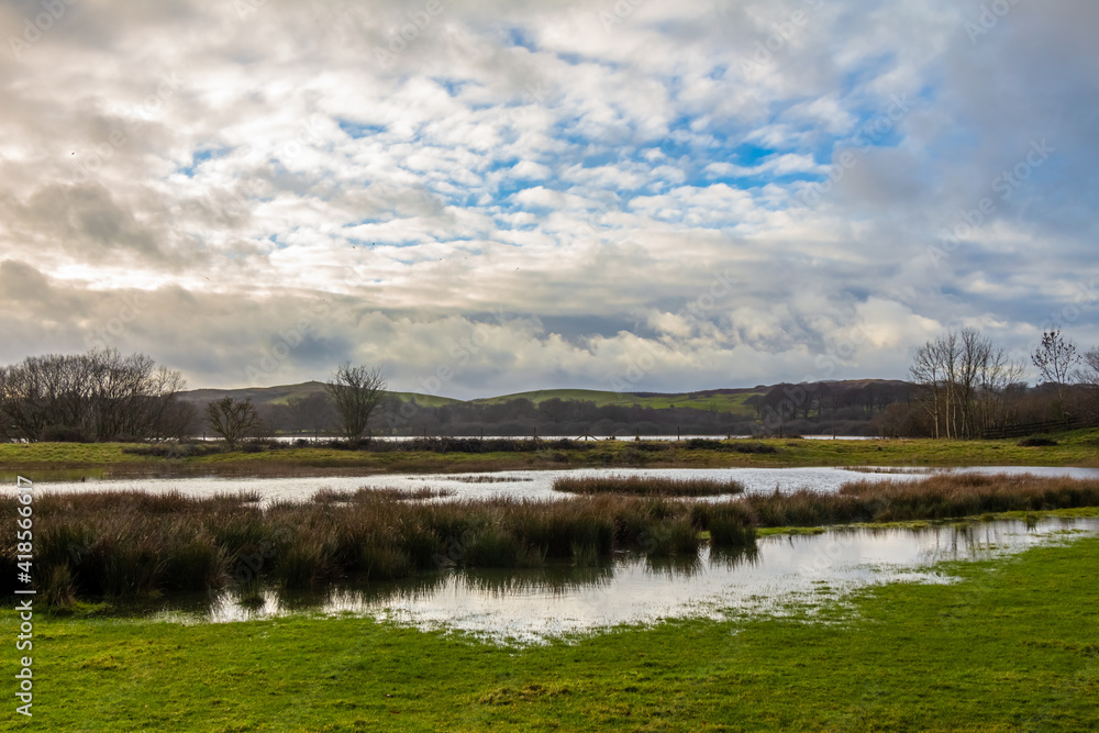 Flooded marshland at Loch Ken in winter near Parton, Galloway, Scotland