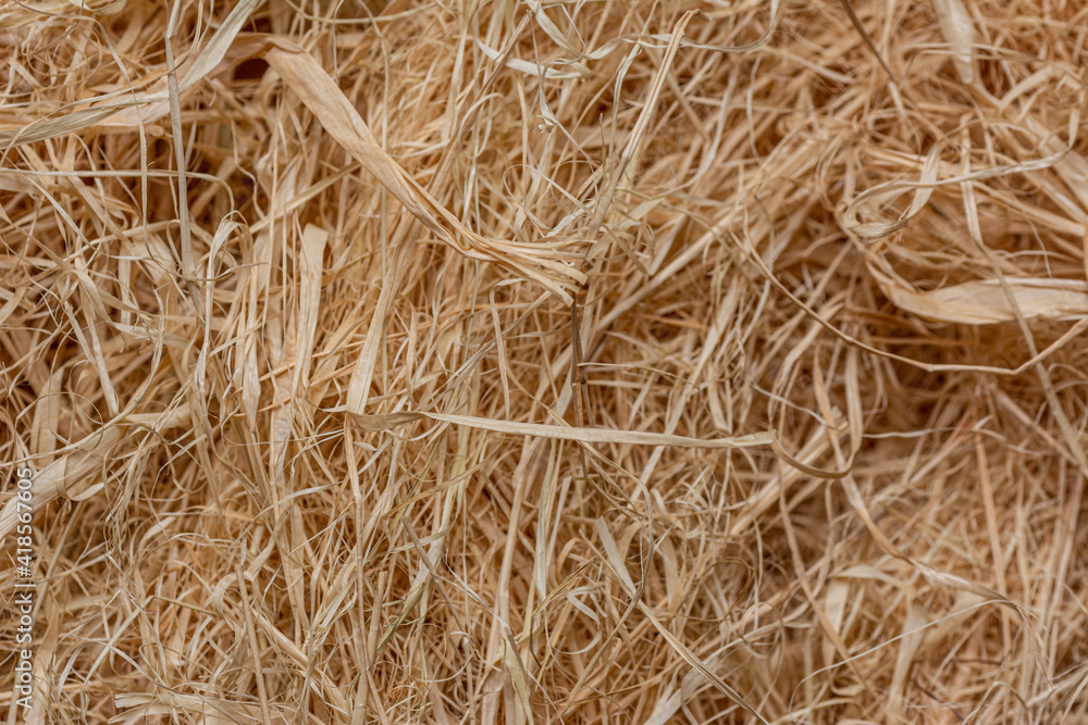 A pile of hay. Hay straw background texture A pile of hay. Hay straw background texture