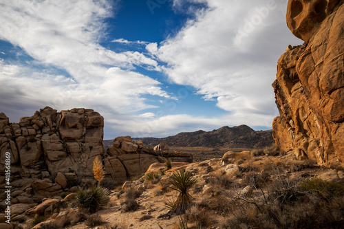 Slika na platnu cloudy day in the mojave desert