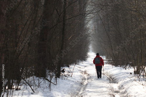 Morning race walking in the winter forest.