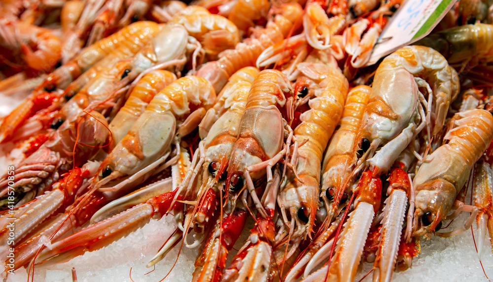 Fresh langoustines lying on ice for sale at the Boqueria market, Barcelona, Spain. Fresh langoustines lying on ice for sale at the Boqueria market, Barcelona, Spain.