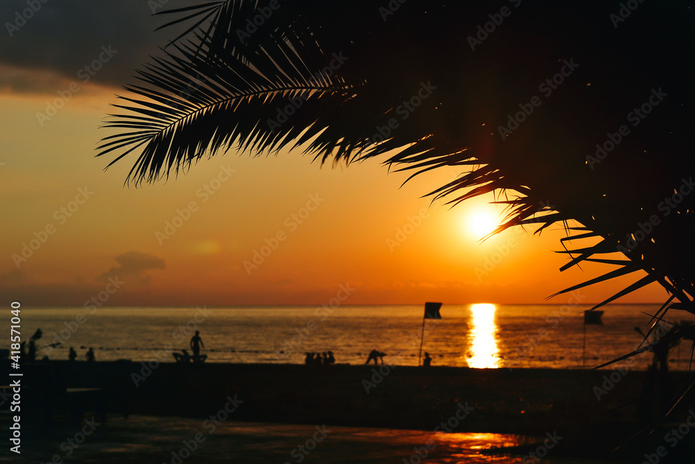 Fototapeta premium Palm Tree At Sunset